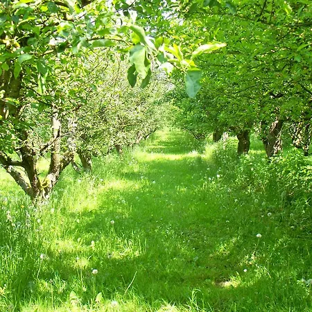 Πανσιόν Danninghus Vindeby (Svendborg)